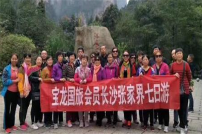 寶龍國際旅行社 開啟您的精彩旅程，專業旅游服務的不二之選